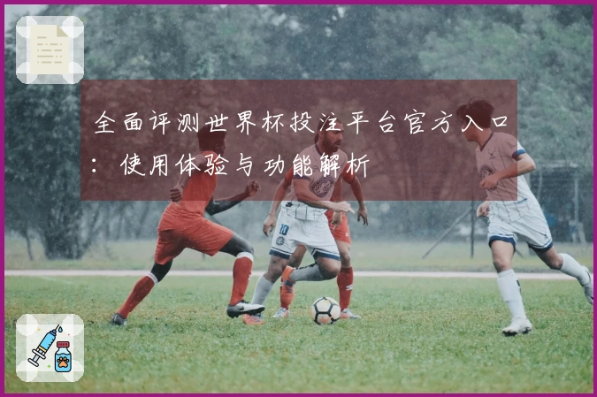全面评测世界杯投注平台官方入口：使用体验与功能解析