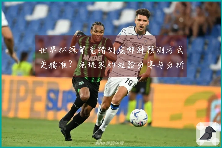 世界杯冠军竞猜到底哪种预测方式更精准？老玩家的经验分享与分析技巧