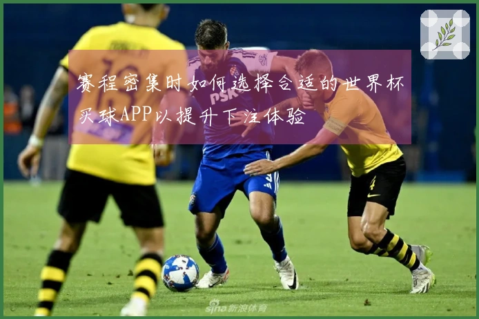 赛程密集时如何选择合适的世界杯买球APP以提升下注体验