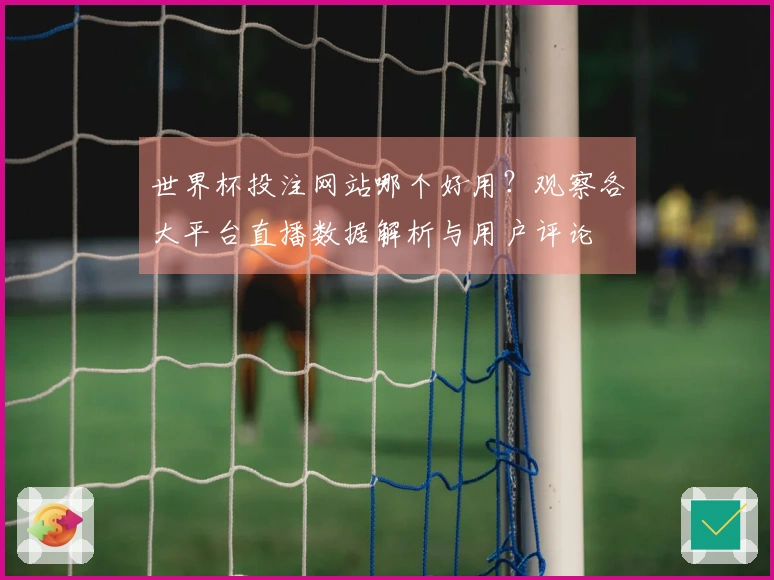 世界杯投注网站哪个好用？观察各大平台直播数据解析与用户评论