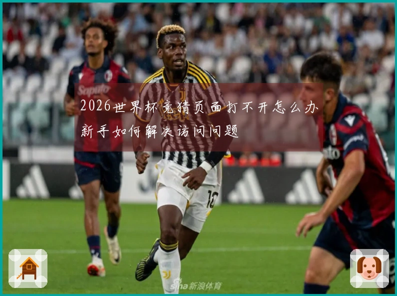 2026世界杯竞猜页面打不开怎么办新手如何解决访问问题
