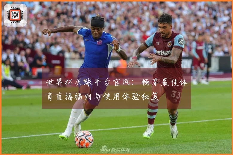 世界杯买球平台官网：畅享最佳体育直播福利与使用体验秘笈