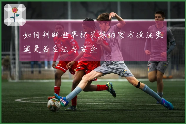 如何判断世界杯买球的官方投注渠道是否合法与安全