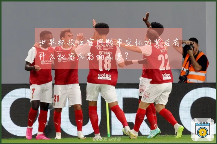 世界杯投注官网赔率变化的背后有什么秘密和影响因素？