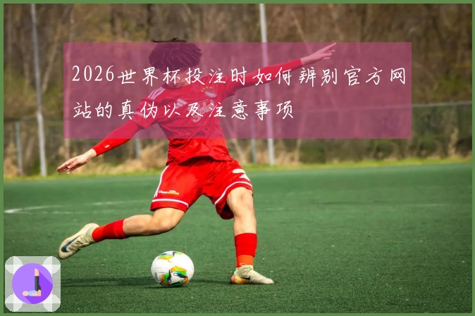 2026世界杯投注时如何辨别官方网站的真伪以及注意事项