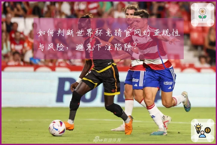 如何判断世界杯竞猜官网的正规性与风险，避免下注陷阱？