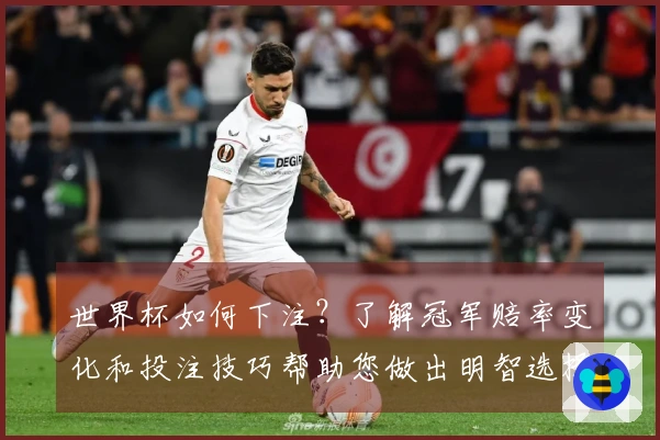 世界杯如何下注？了解冠军赔率变化和投注技巧帮助您做出明智选择