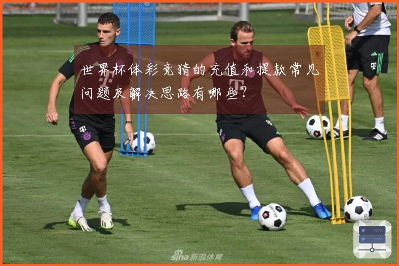 世界杯体彩竞猜的充值和提款常见问题及解决思路有哪些？