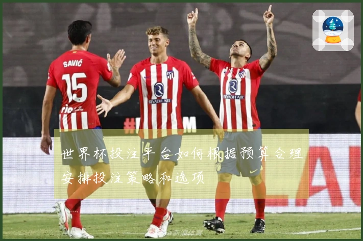 世界杯投注平台如何根据预算合理安排投注策略和选项