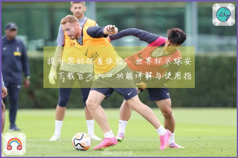 提升您的观看体验：世界杯买球安卓下载官方入口功能详解与使用指南