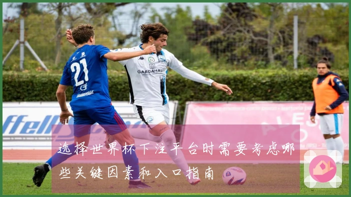 选择世界杯下注平台时需要考虑哪些关键因素和入口指南