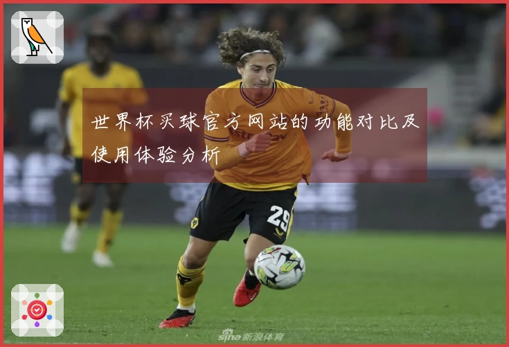 世界杯买球官方网站的功能对比及使用体验分析