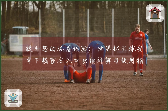 提升您的观看体验：世界杯买球安卓下载官方入口功能详解与使用指南