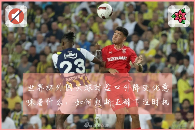 世界杯外围买球时盘口升降变化意味着什么，如何判断正确下注时机？