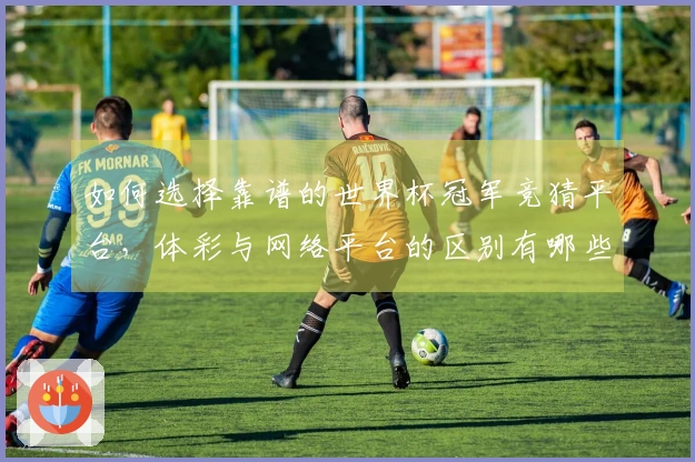 如何选择靠谱的世界杯冠军竞猜平台，体彩与网络平台的区别有哪些？