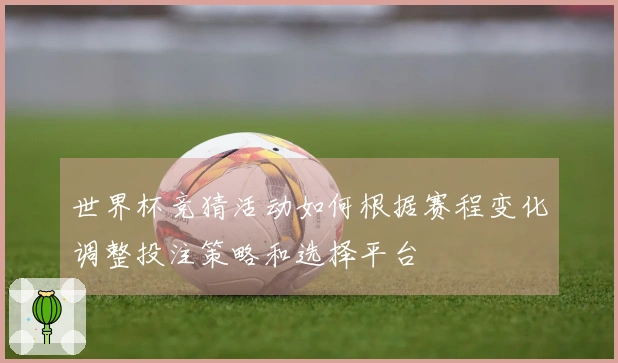 世界杯竞猜活动如何根据赛程变化调整投注策略和选择平台