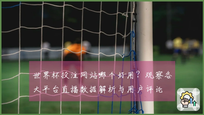 世界杯投注网站哪个好用？观察各大平台直播数据解析与用户评论