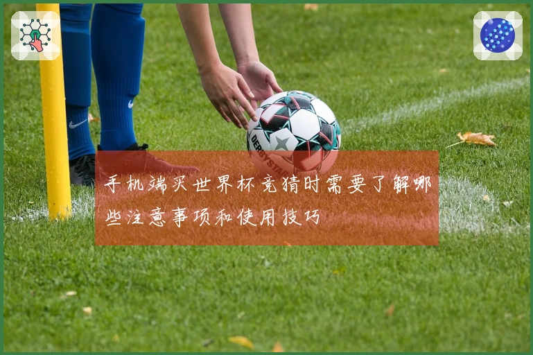 手机端买世界杯竞猜时需要了解哪些注意事项和使用技巧