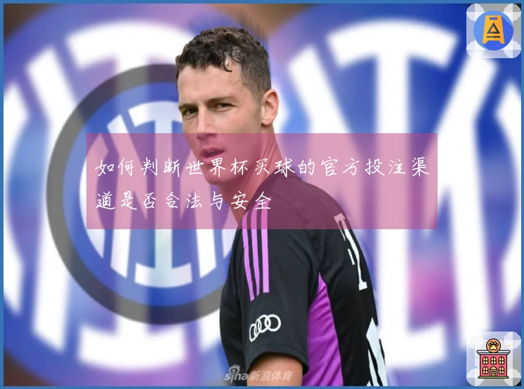 如何判断世界杯买球的官方投注渠道是否合法与安全